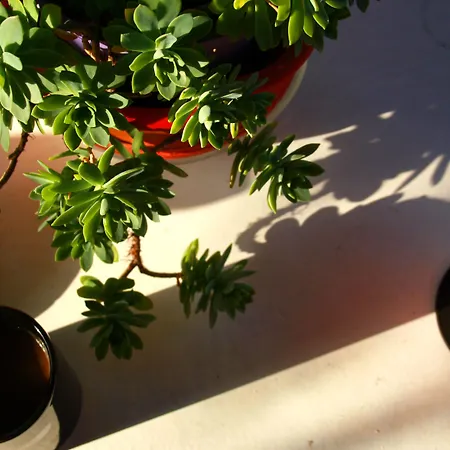 La Luna Bodrum