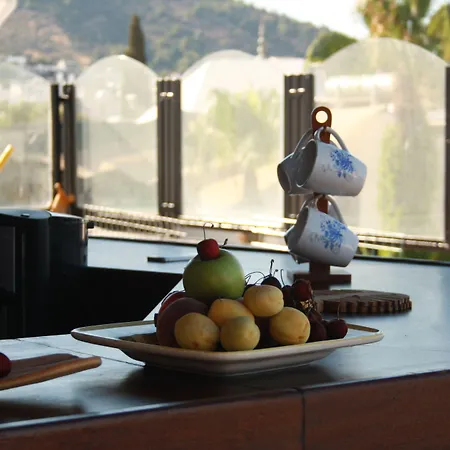 La Luna 호스텔 Bodrum