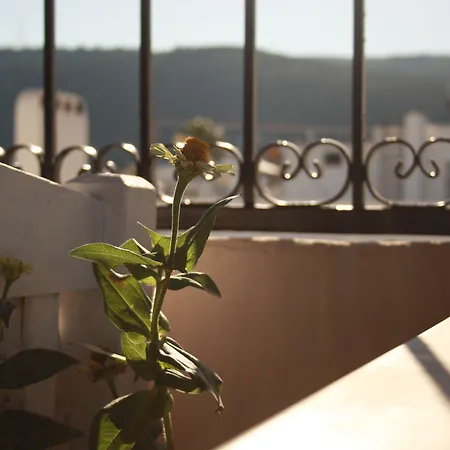 La Luna Hostel Αλικαρνασσός